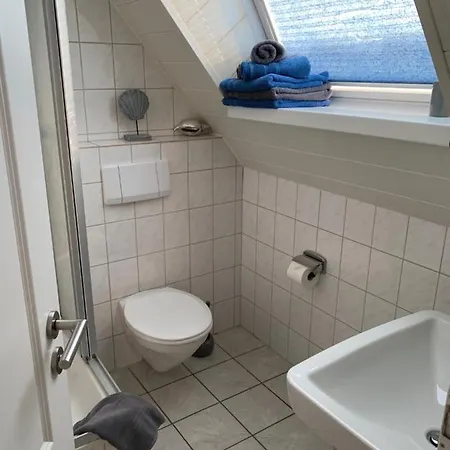 Strandflieder Backbord *