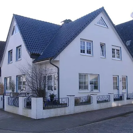 Strandflieder Backbord *