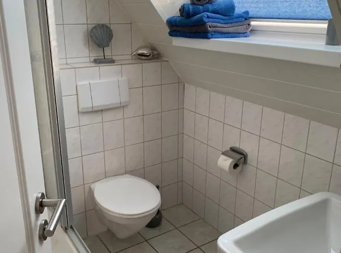 Strandflieder Backbord *